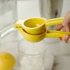 Lemon Juice Press True