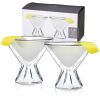 Double Walled Martini Glasses ViskiÂ® (Set of 2)