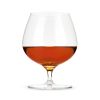 Raye Crystal Wingback Brandy Glasses ViskiÂ® (Set of 2)
