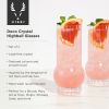 Raye Deco Crystal Highball Glasses ViskiÂ® (Set of 2)