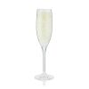 Hardy: Acrylic Champagne Glass