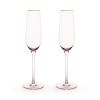 Rose Crystal Champagne Flute Set by TwineÂ®