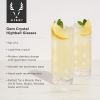 Gem Crystal Highball Glasses Viski