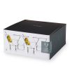 Raye Heavy Crystal Martini Glasses ViskiÂ® (Set of 4)