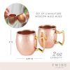 Moscow Mule Shot Mugs by Twine