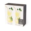 Raye Deco Crystal Highball Glasses ViskiÂ® (Set of 2)