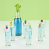 7 Piece Cactus Stopper and Charm Set True Zoo