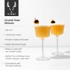 Raye Crystal Sour Glasses ViskiÂ® (Set of 2)