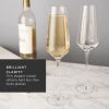 Raye Crystal Angled Champagne Flutes ViskiÂ® (Set of 2)