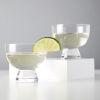 Raye Crystal Mezcal Glasses ViskiÂ® (Set of 2)