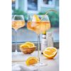 Raye Angled Crystal Amaro Spritz Glasses ViskiÂ® (Set of 2)