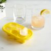 Quack Silicone Ice Cube Tray True