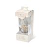 Glass Hurricane Bottle Lamp by Twine