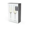 Raye Crystal Angled Champagne Flutes ViskiÂ® (Set of 2)
