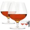 Raye Crystal Wingback Brandy Glasses ViskiÂ® (Set of 2)
