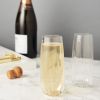 Cactus Crystal Stemless Champagne Flutes by Viski