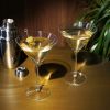Raye Stemmed Crystal Martini Glasses ViskiÂ® (Set of 2)