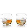4 Piece Glacier Rocks Glass and Ice Mold Set ViskiÂ®