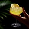 Raye Angled Crystal Coupe Glasses ViskiÂ® (Set of 4)