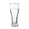 Glacier Double-Walled Chilling Beer Glass ViskiÂ®