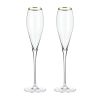 Crystal Gold-Rimmed Champagne Flutes ViskiÂ®