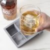 Colossal Grey Ice Cube Tray True