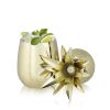 16oz Gold Pineapple Tumbler by ViskiÂ®