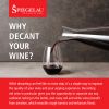 Spiegelau Style 1L Wine Decanter (Set of 1)
