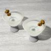 Martini Glass FREEZEâ„¢ Gray HOSTÂ® (Set of 2)