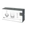 4 Piece Stainless Steel Mixologist Barware Set ViskiÂ®