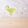 Sorbo Margarita Glasses, Set of 4 by True