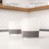 Whiskey FREEZEâ„¢ Gray HOSTÂ® (Set of 2)