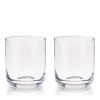 Raye Crystal Whiskey Tumblers ViskiÂ® (Set of 2)