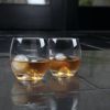 4 Piece Glacier Rocks Glass and Ice Mold Set ViskiÂ®